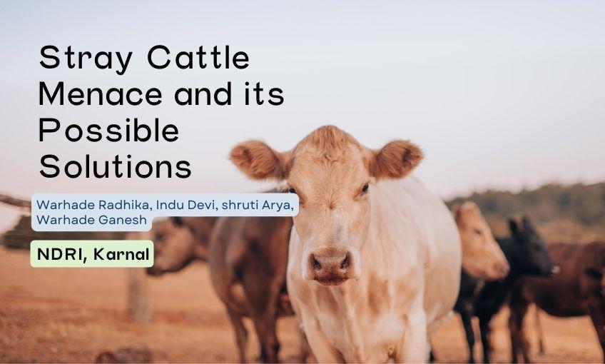 Stray Cattle Menace and its Possible Solutions